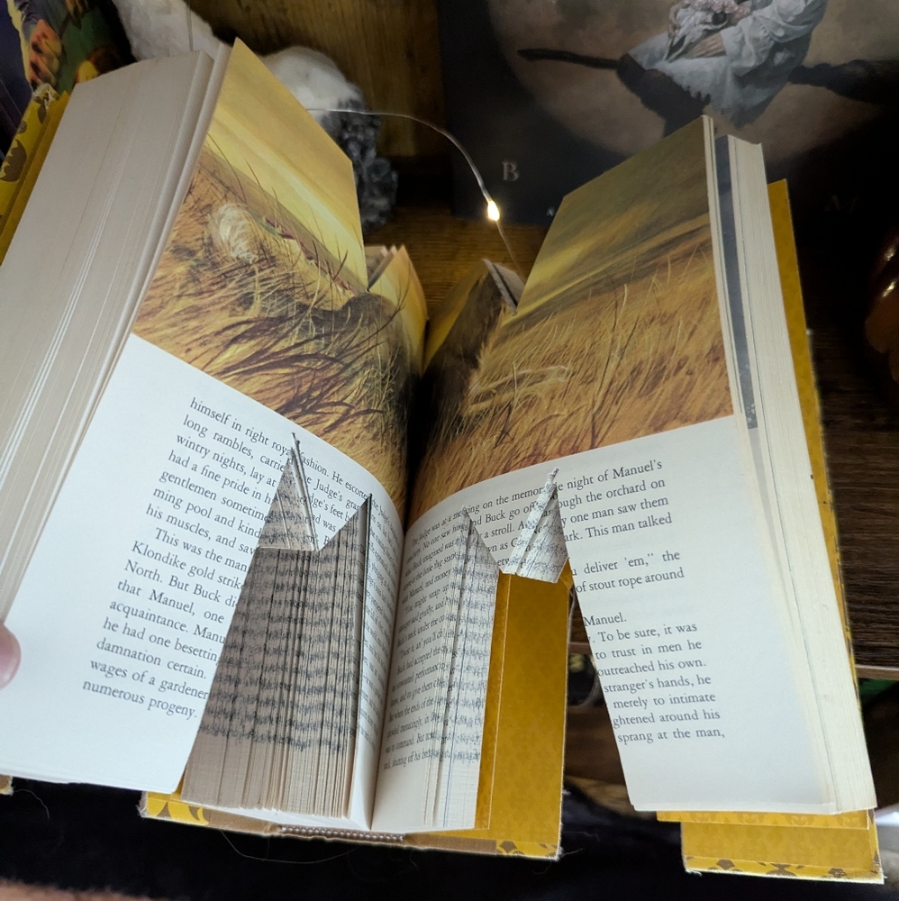 Book Decor - Picture 5 of 5